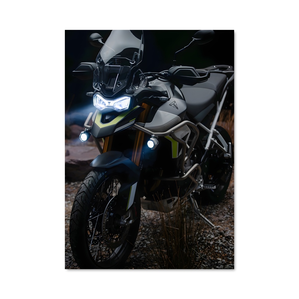 Poster Félin Éblouissant 900